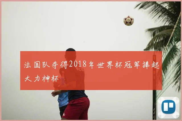 法国队夺得2018年世界杯冠军捧起大力神杯