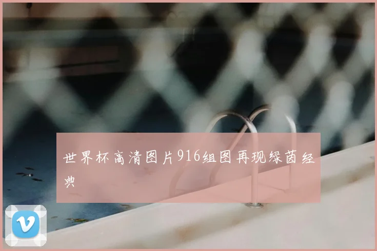 世界杯高清图片916组图再现绿茵经典